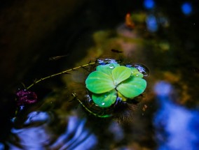 春日的宁静与和谐，既不狂飙也不倒春寒