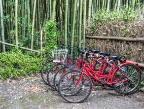 台湾佬网站:垂钓行业信息平台，连接垂钓爱好者和产业的桥梁