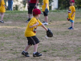 防弹少年团与他们的宠物伙伴 防弹少年团养的宠物叫什么